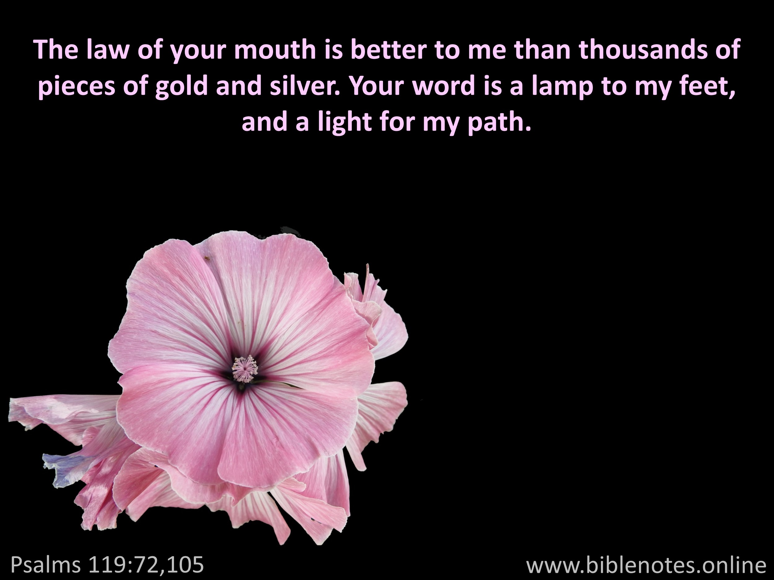 Bible Verse from Psalms Chapter 119