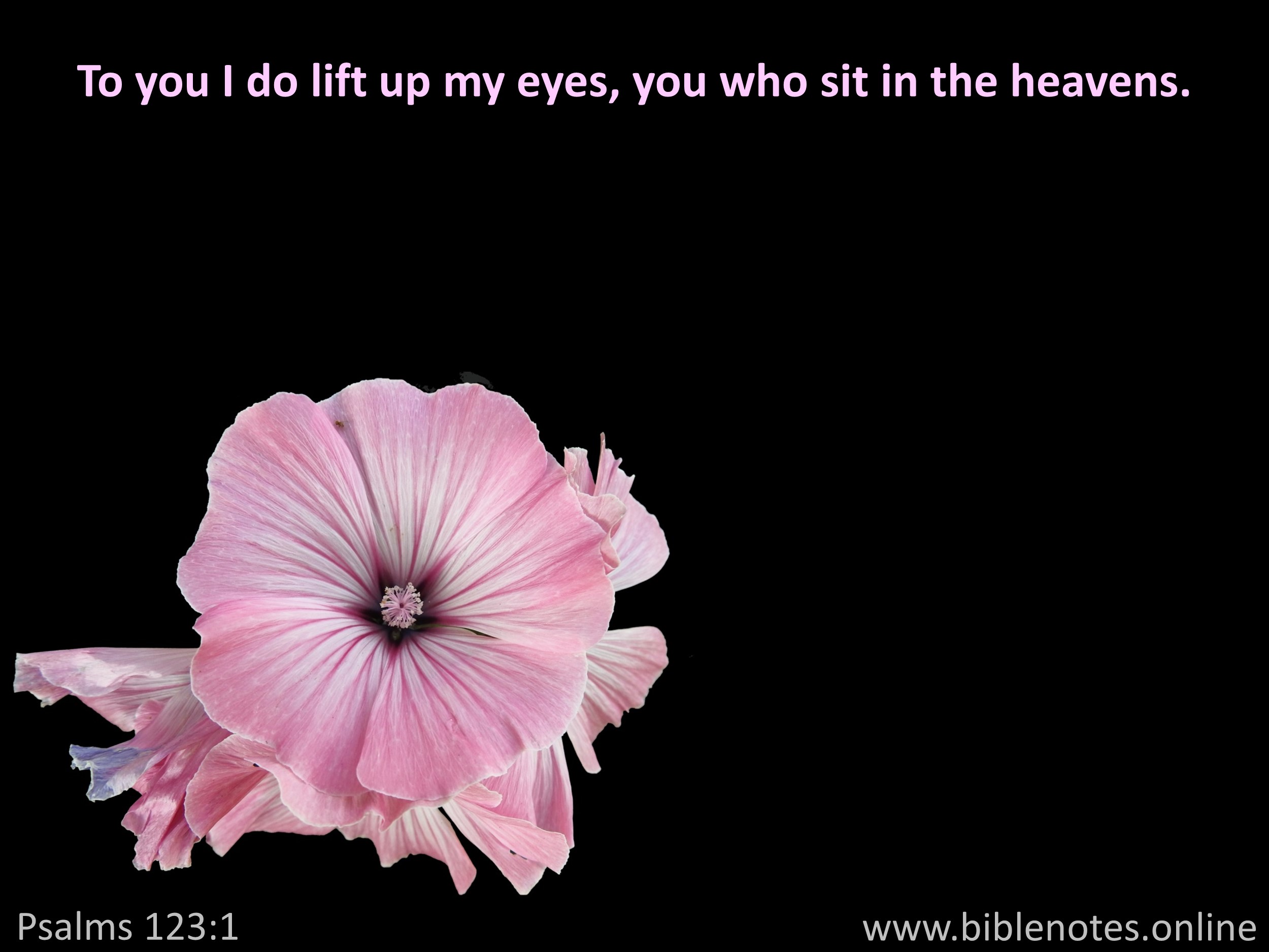 Bible Verse from Psalms Chapter 123