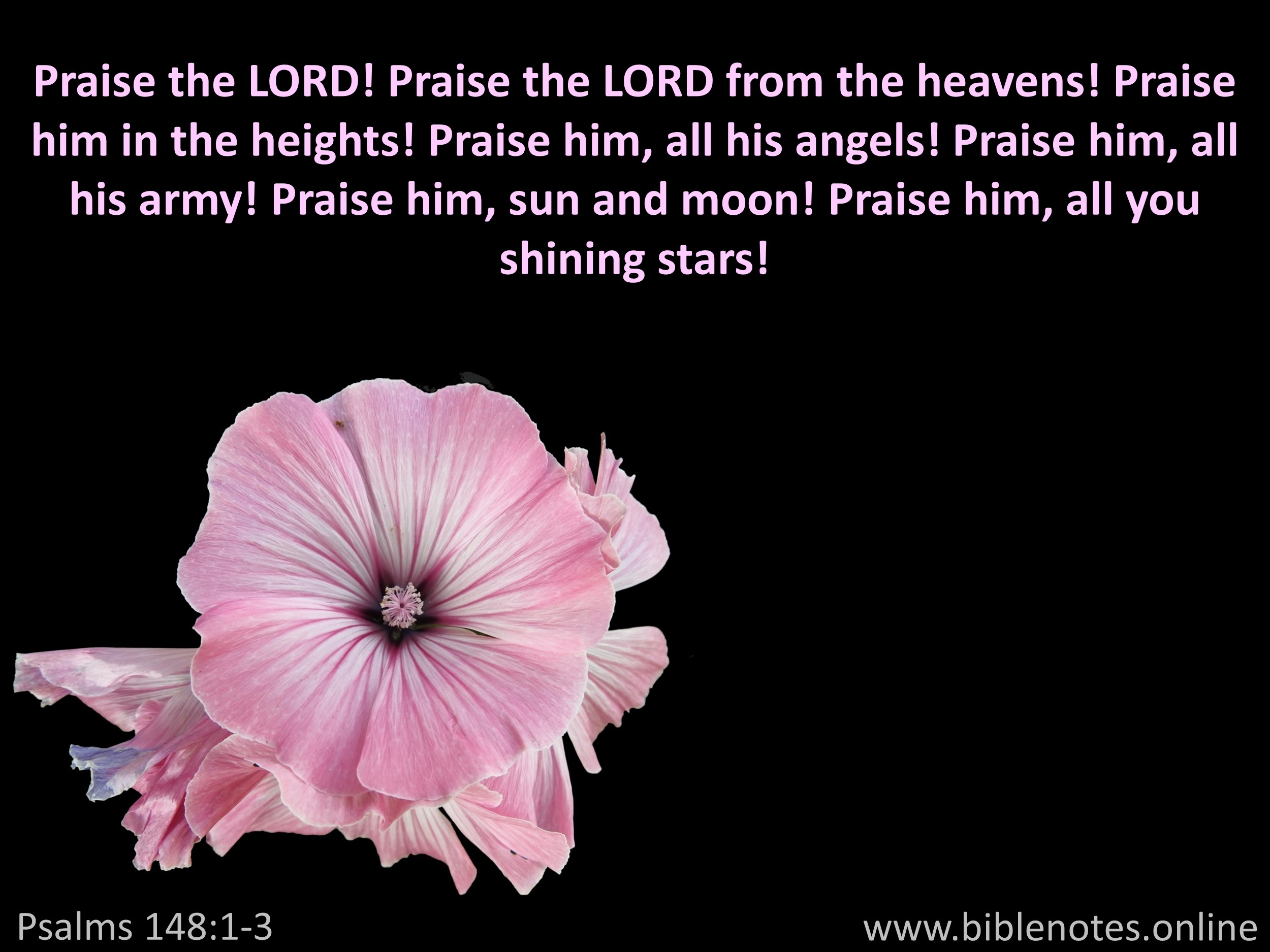 Bible Verse from Psalms Chapter 148