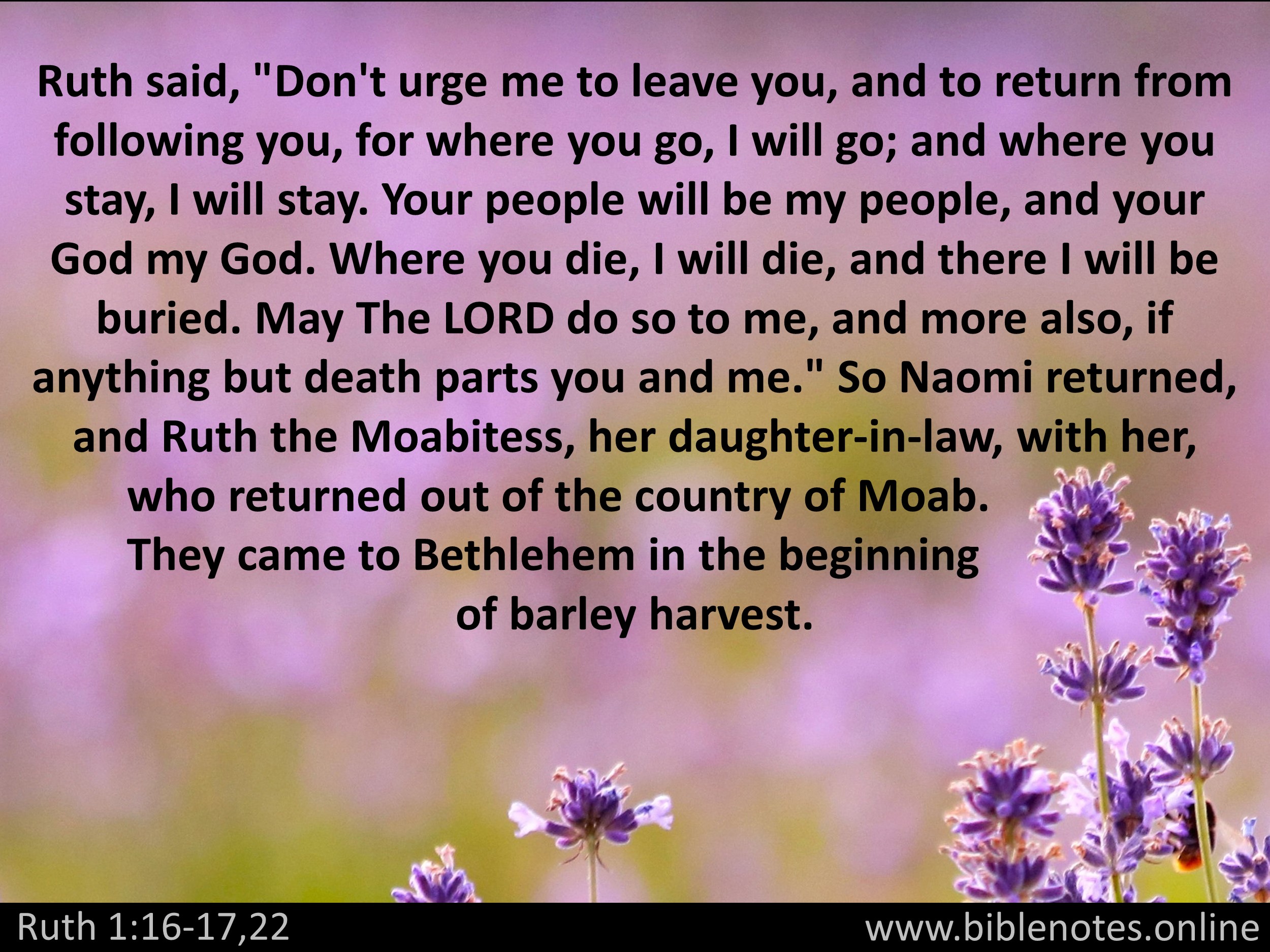 Bible Verse from Ruth Chapter 1