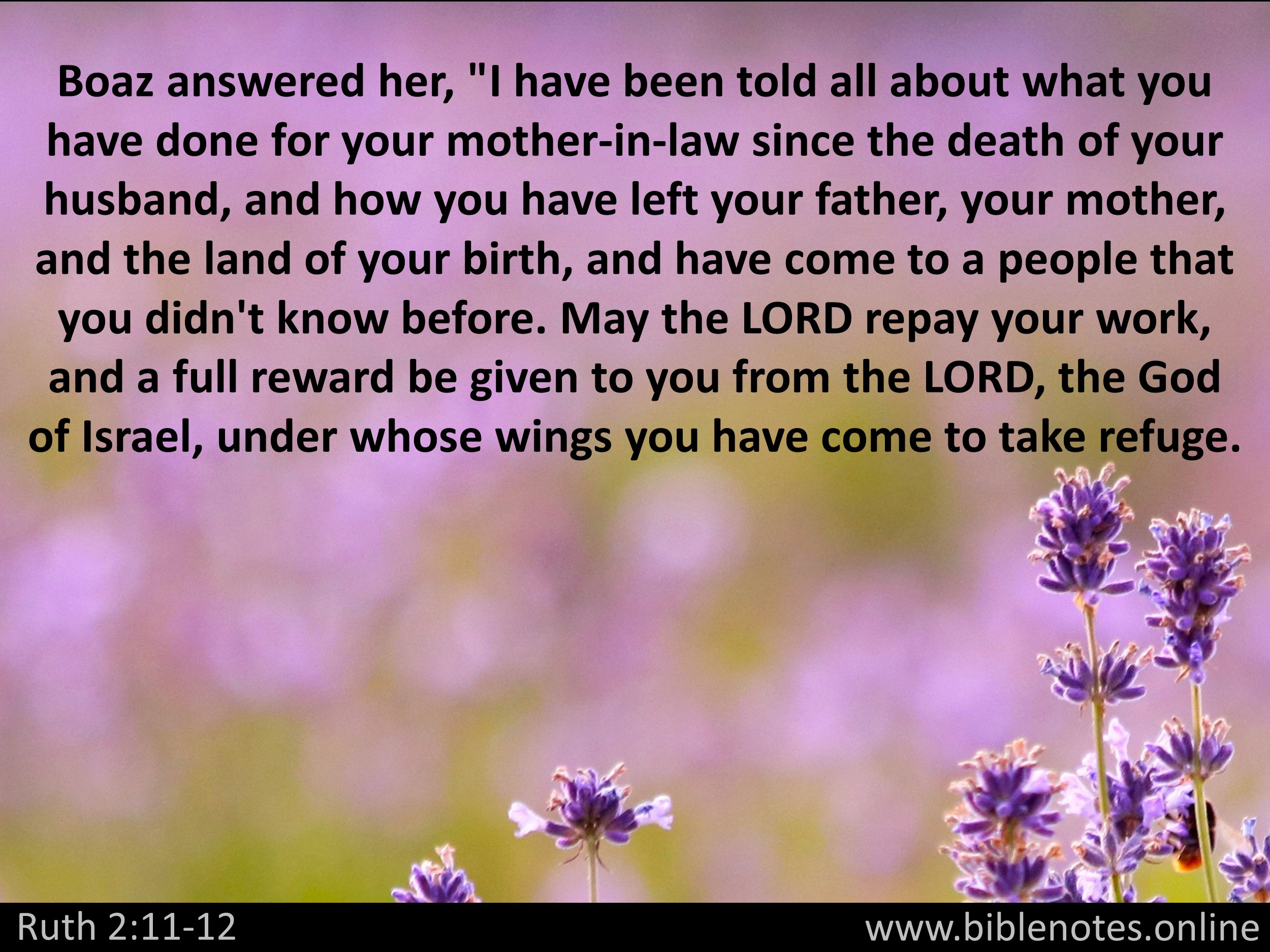 Bible Verse from Ruth Chapter 2