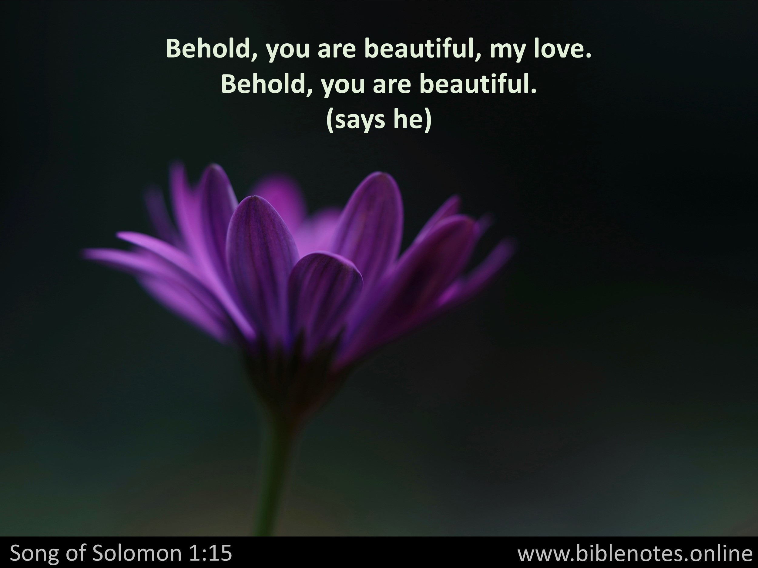 Bible Verse from Song of Solomon Chapter 1