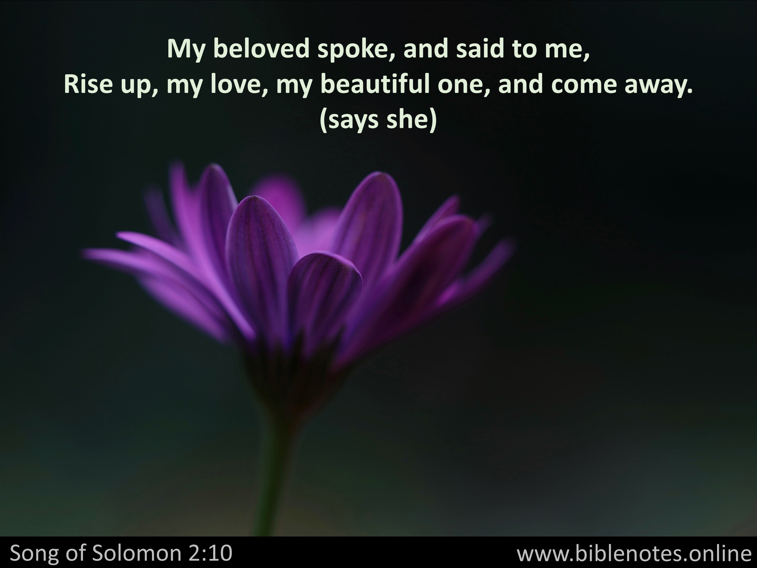 Bible Verse from Song of Solomon Chapter 2