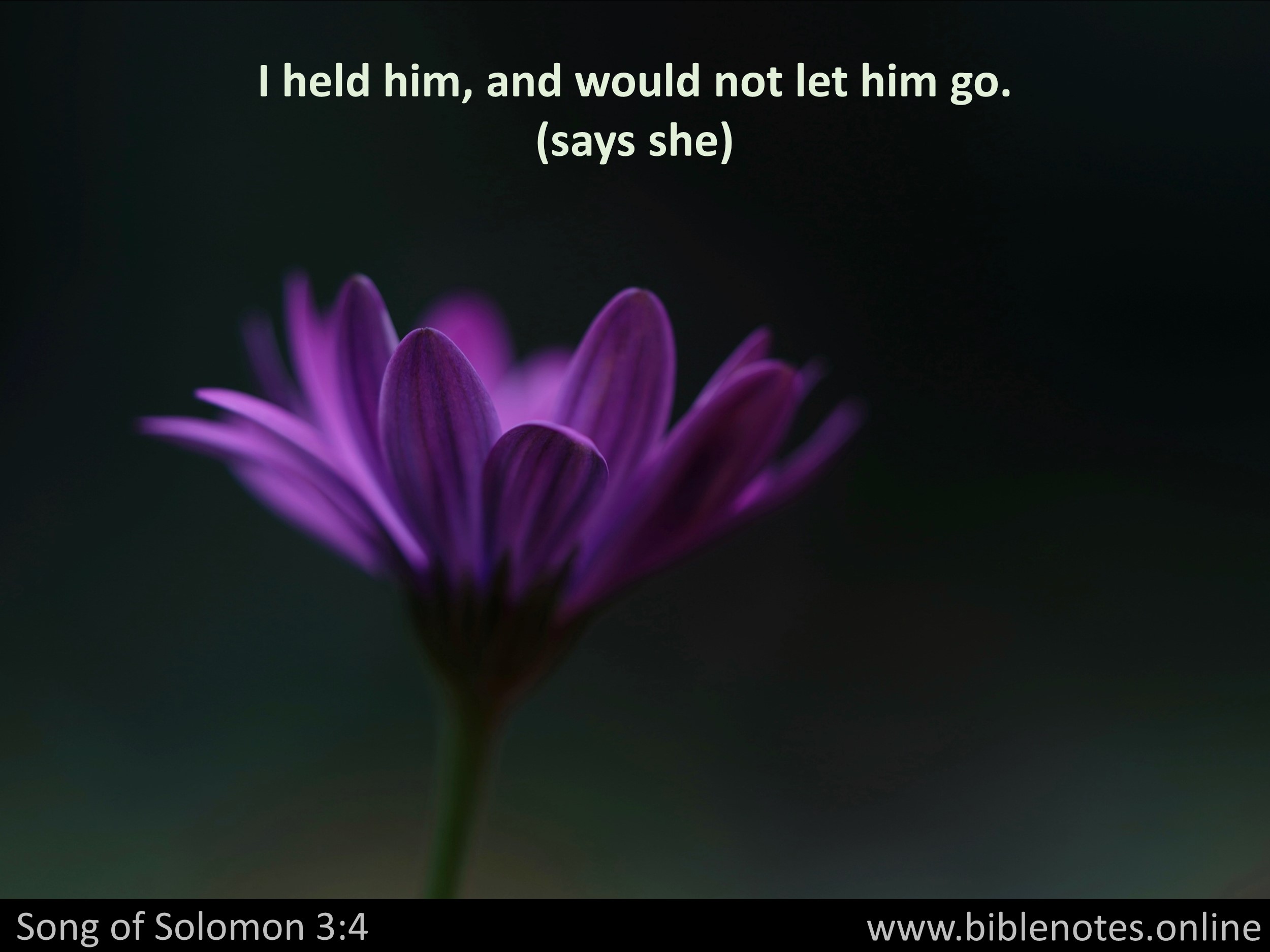 Bible Verse from Song of Solomon Chapter 3