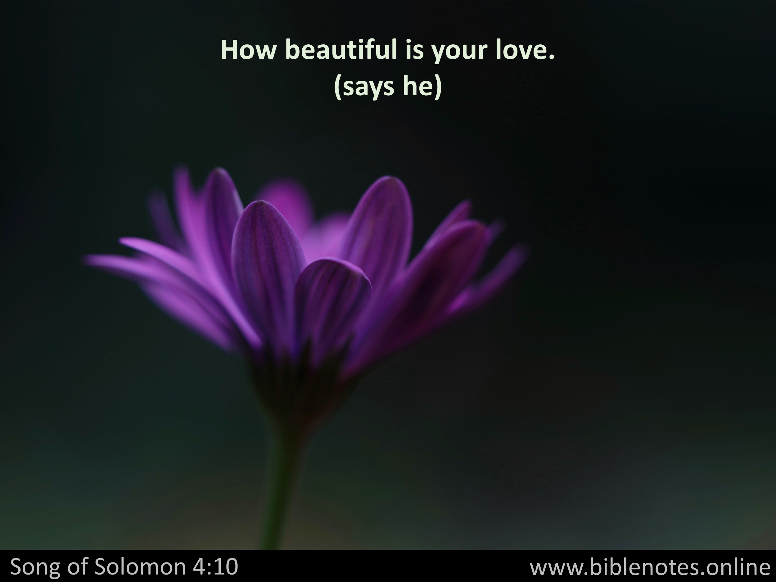 Bible Verse from Song of Solomon Chapter 4