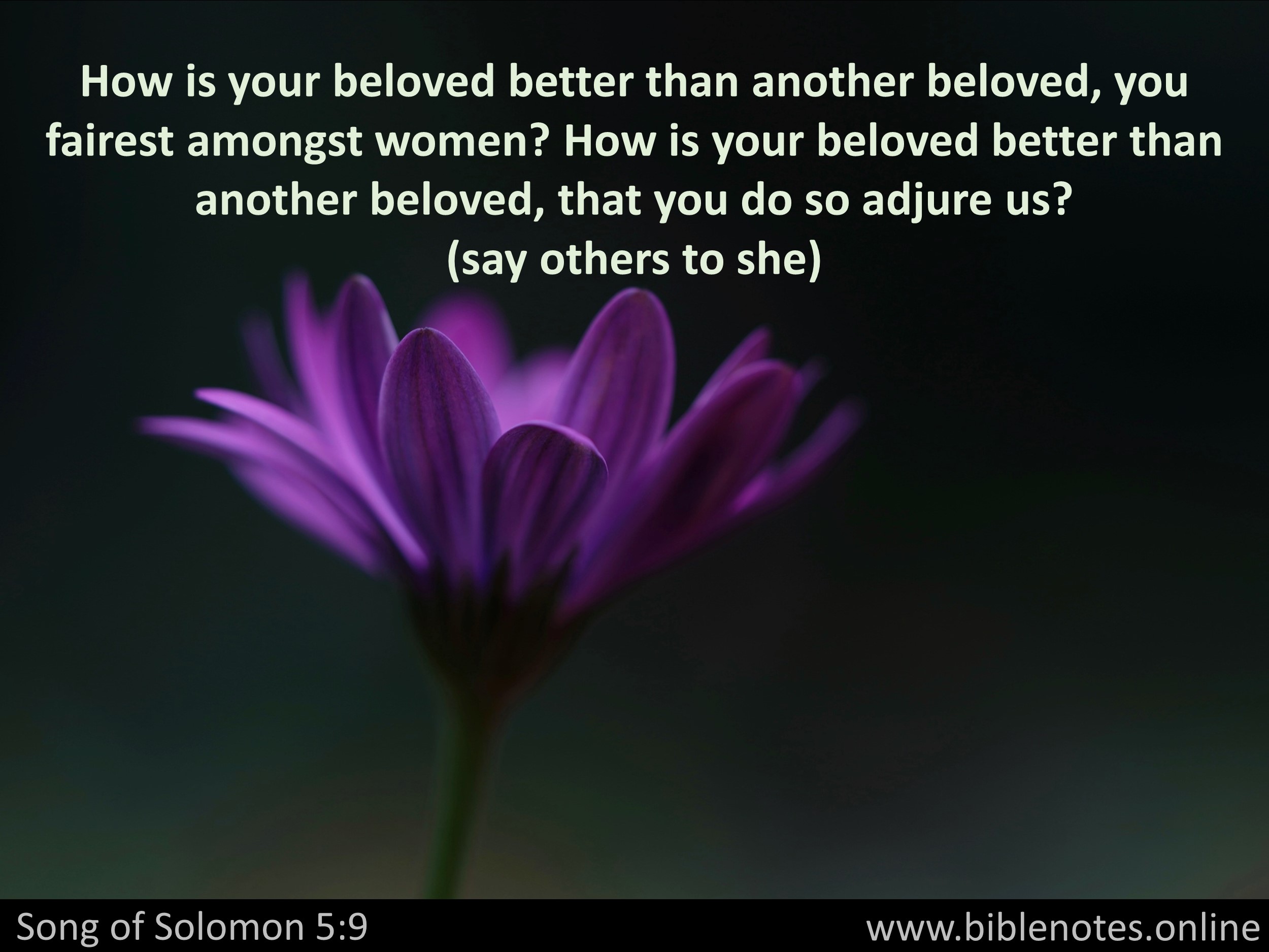 Bible Verse from Song of Solomon Chapter 5