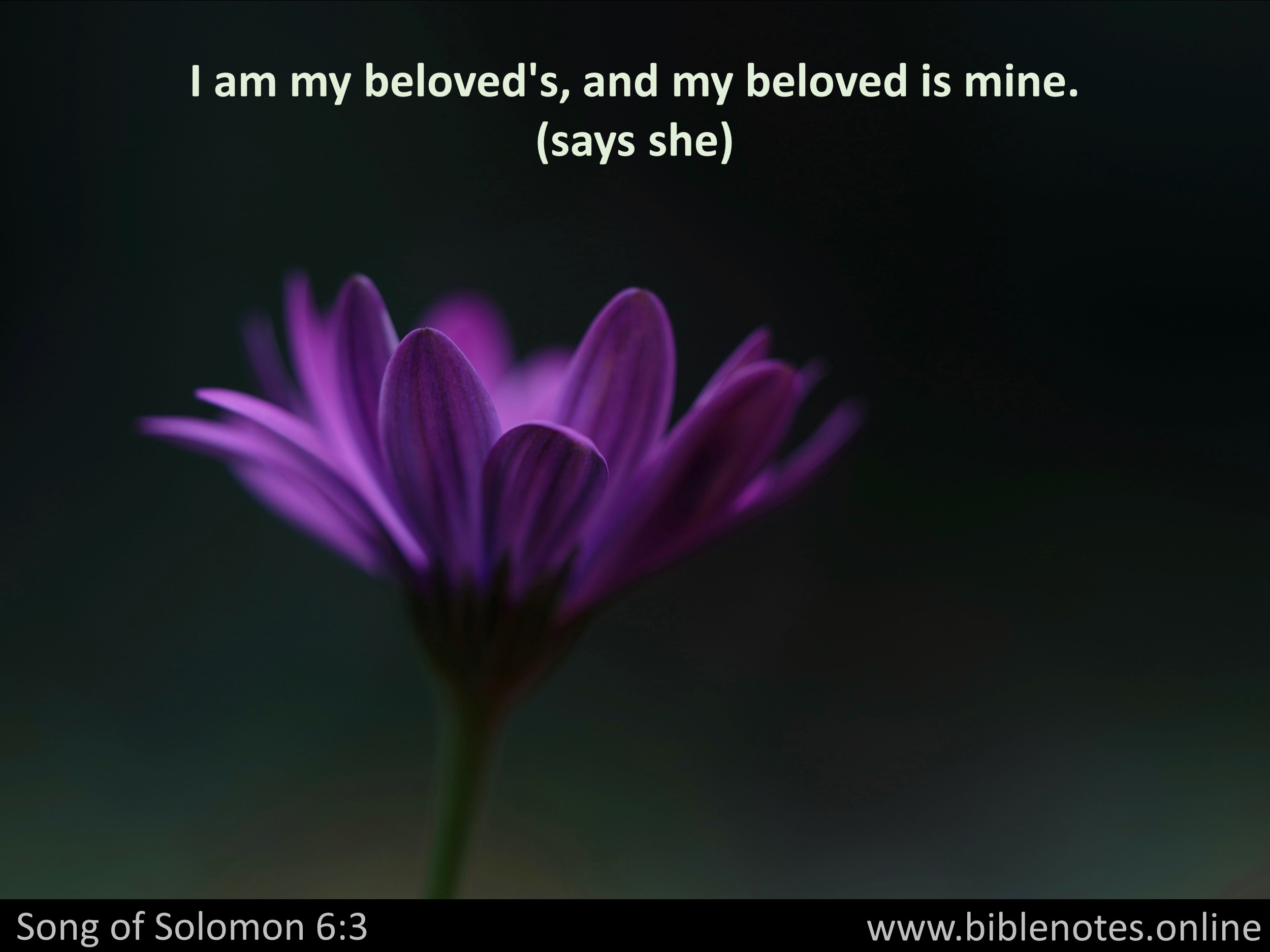 Bible Verse from Song of Solomon Chapter 6