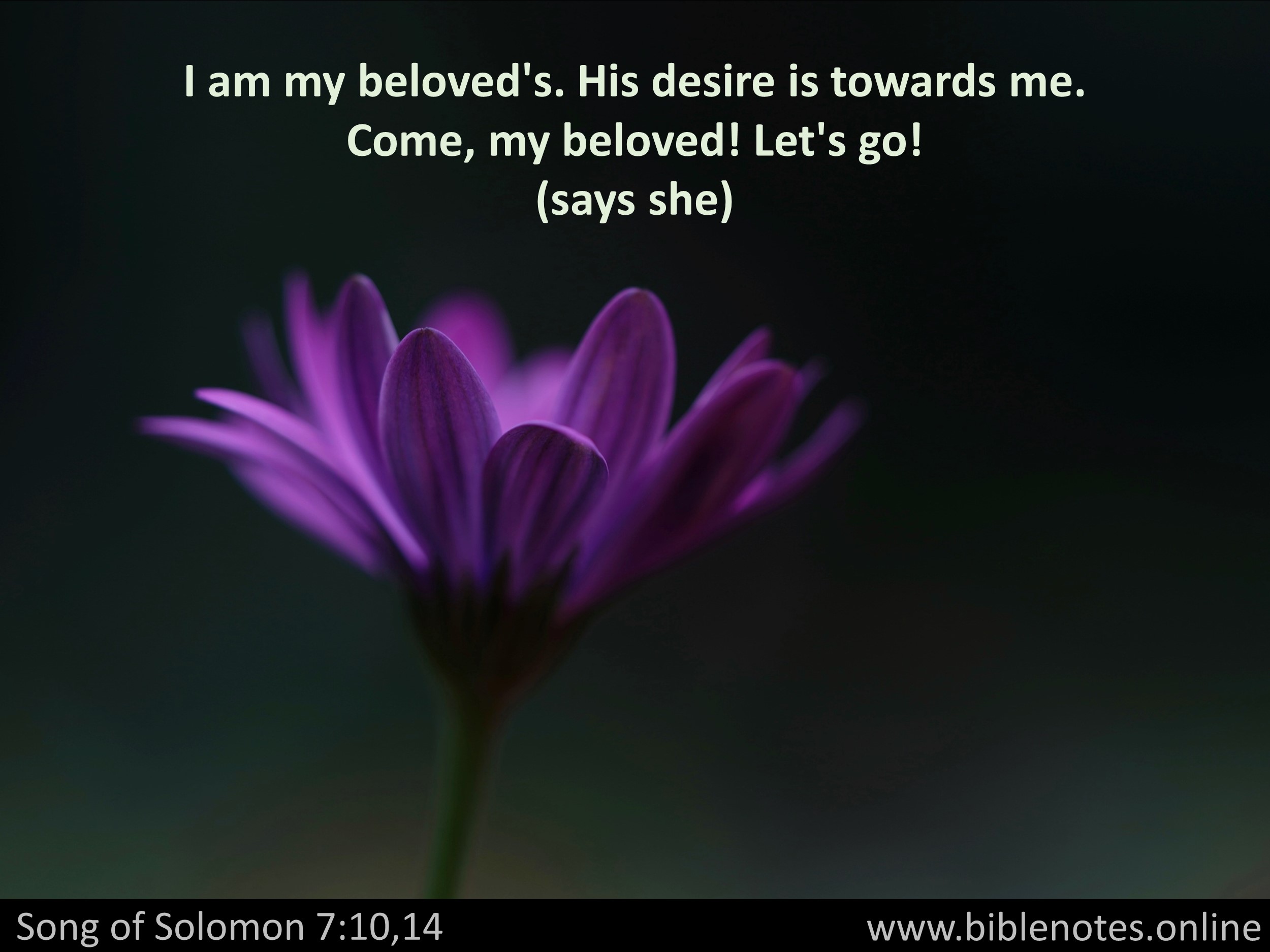 Bible Verse from Song of Solomon Chapter 7