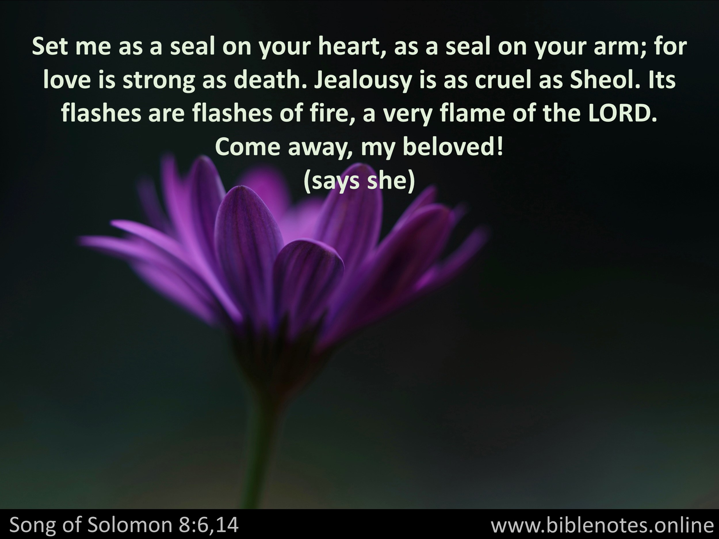 Bible Verse from Song of Solomon Chapter 8